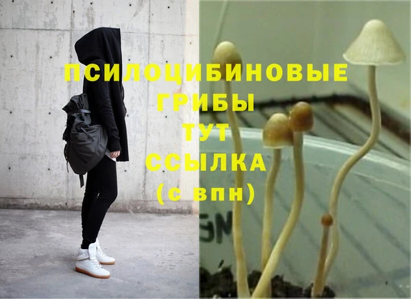 гашишное масло Касимов